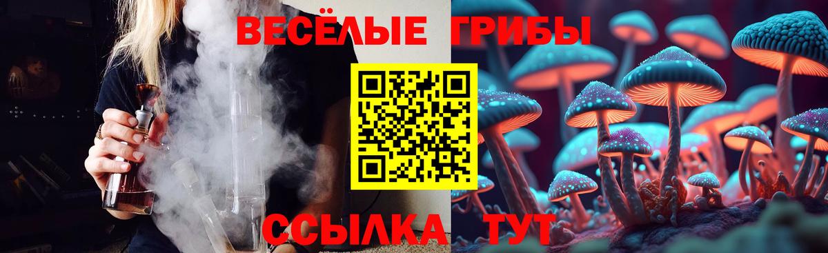 Псилоцибиновые грибы прущие грибы  Вход с VPN  Узловая  Галлюциногенные грибы мицелий 